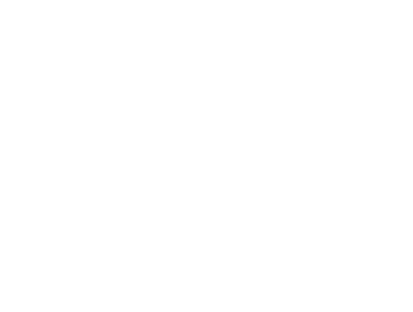 Louisville Web Design Logo: Music City Archery