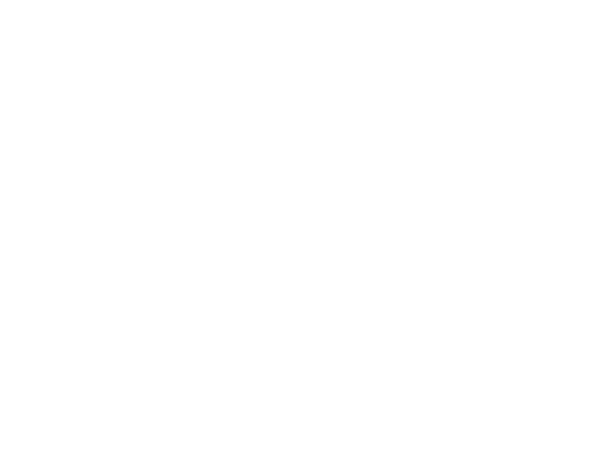 Louisville Web Design Logo: Saint Goose Wine and Spirits