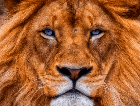 Web Design Inspiration: Marty Tilly