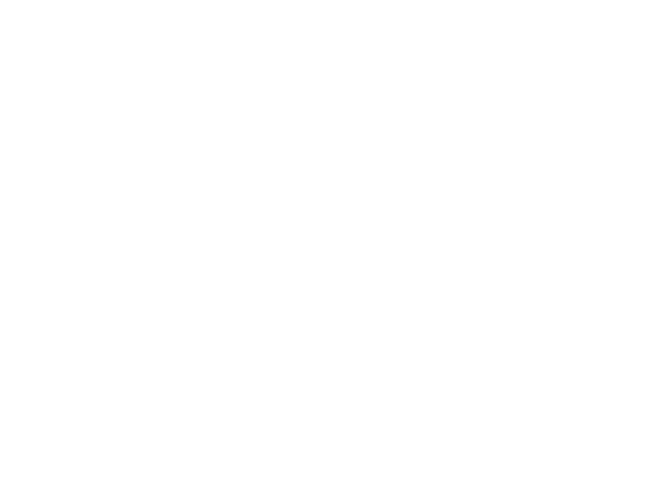 Louisville Web Design Logo: Classic Blinds