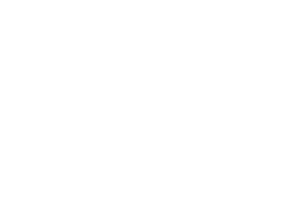 Louisville Web Design Logo: Northwind Partners
