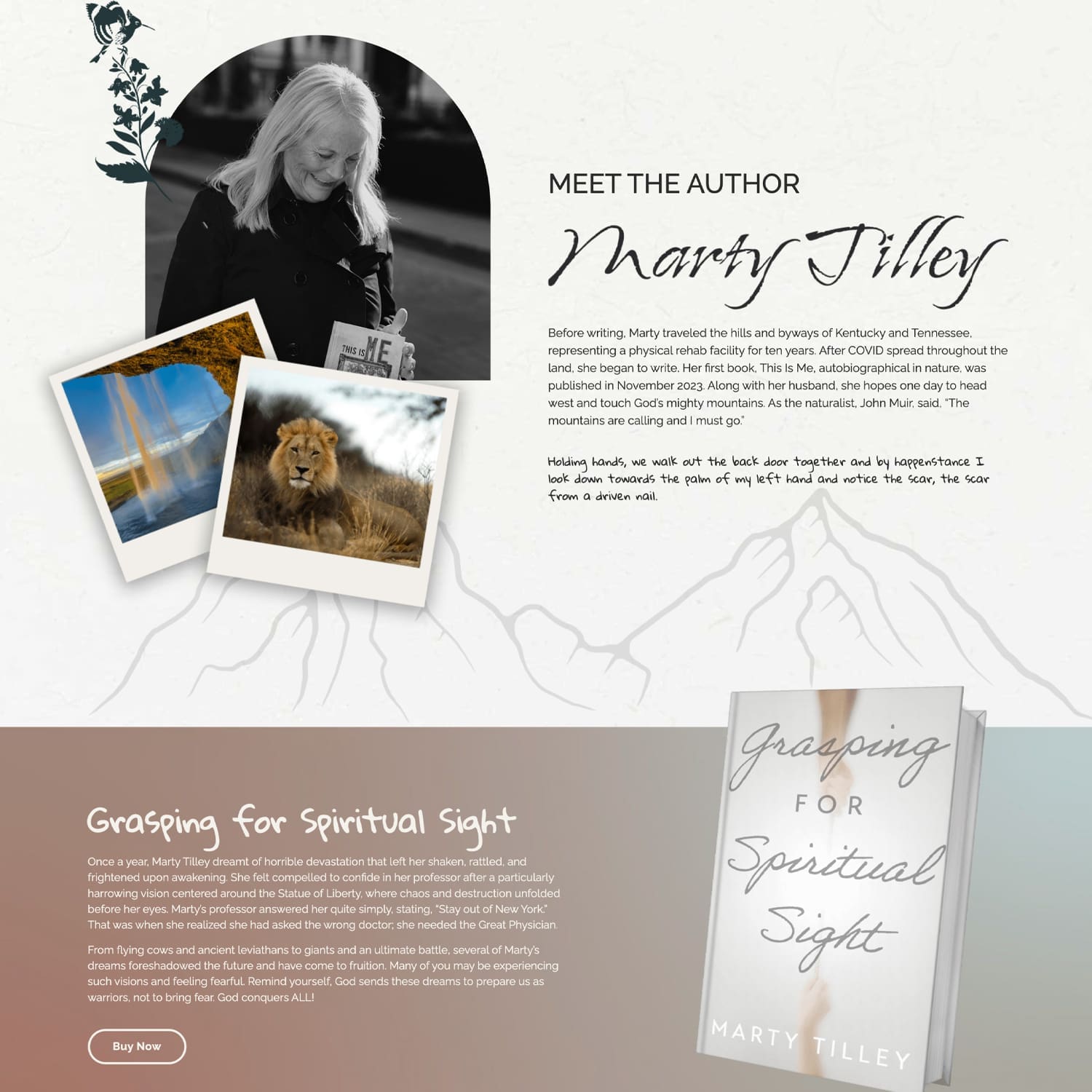 Louisville Website Design: Marty Tilly